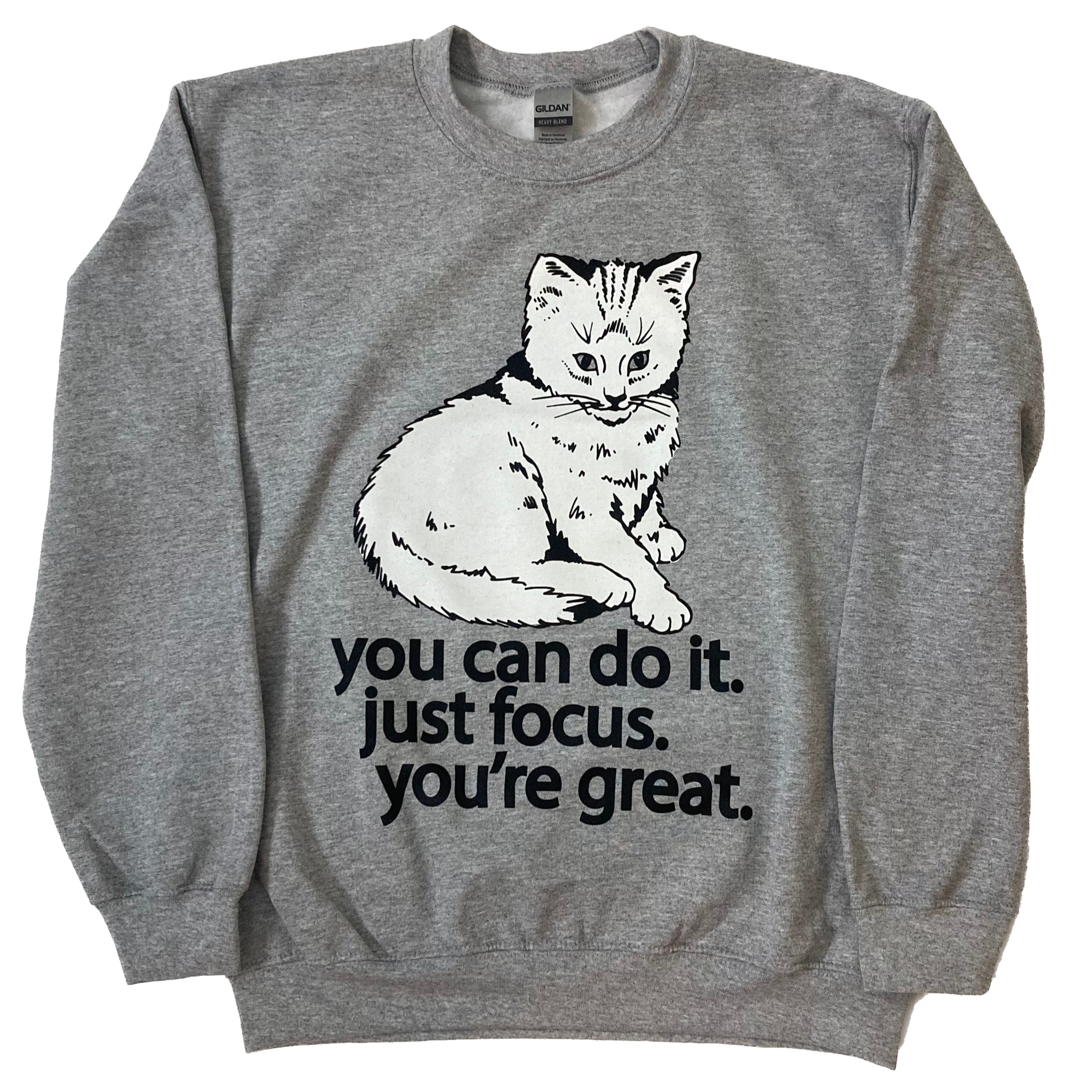 Focus Cat Winter Morning