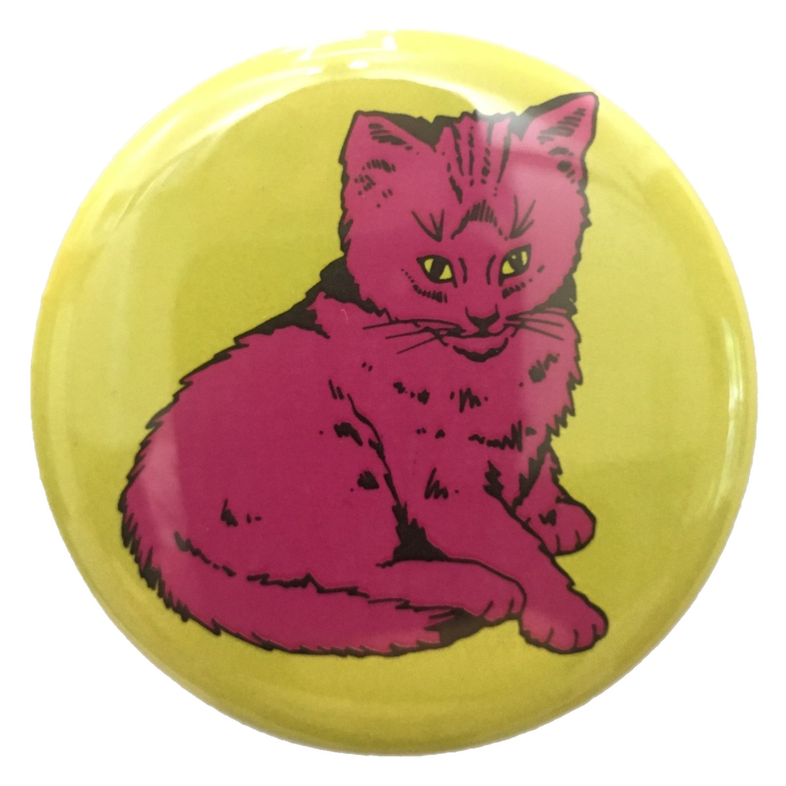 Pink Focus Cat
