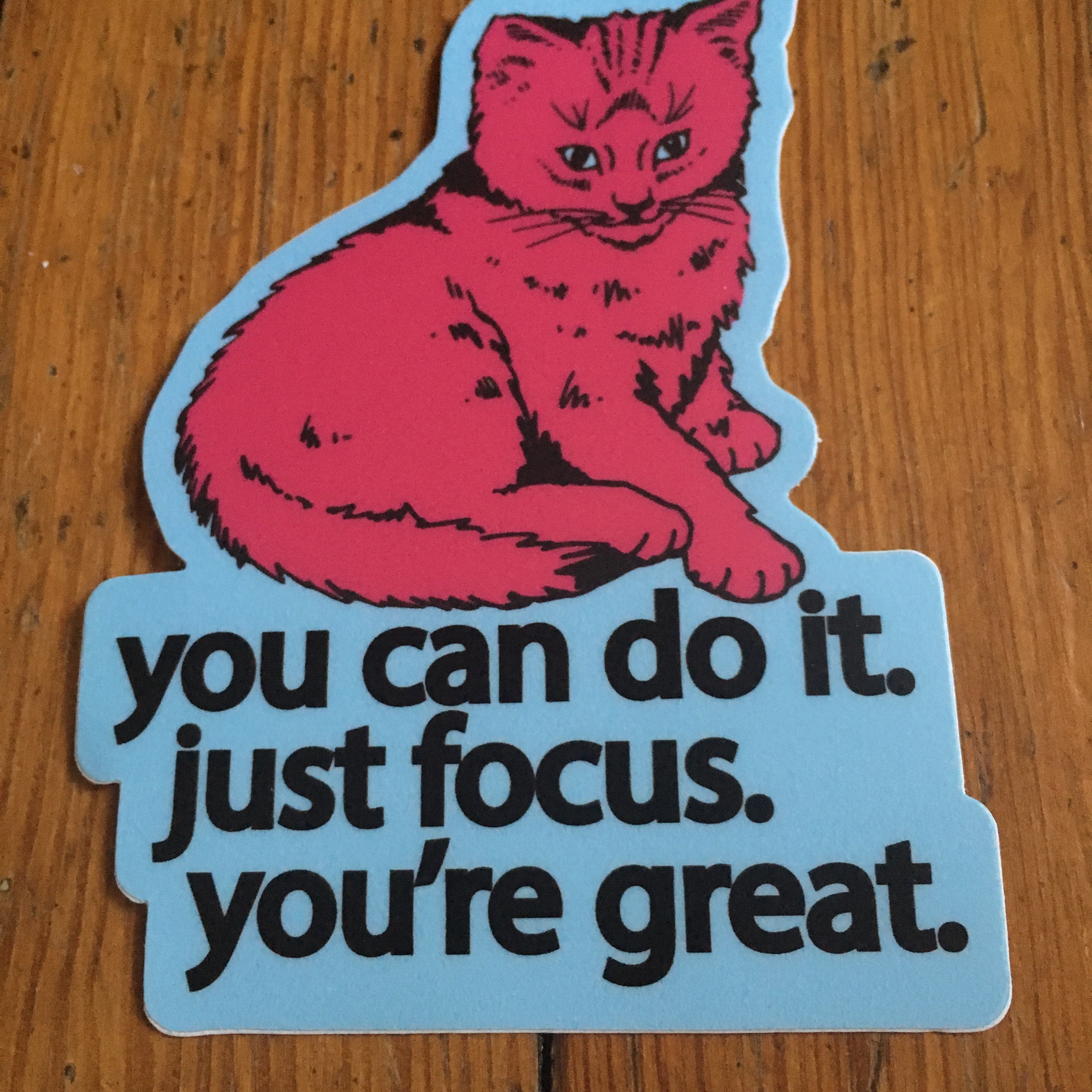 focus cat sticker - badkneesTs | badkneesTs