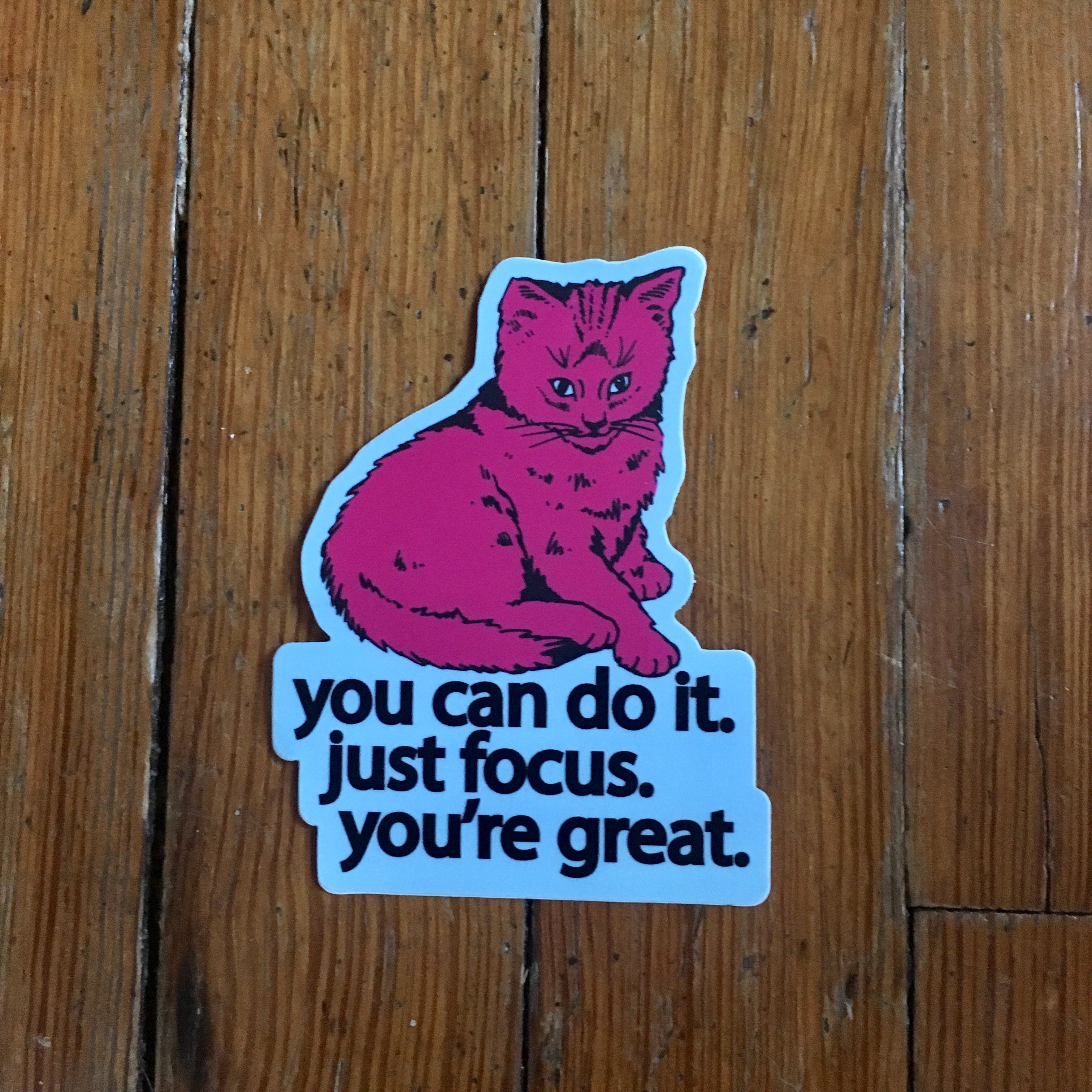 focus cat sticker - badkneesTs | badkneesTs