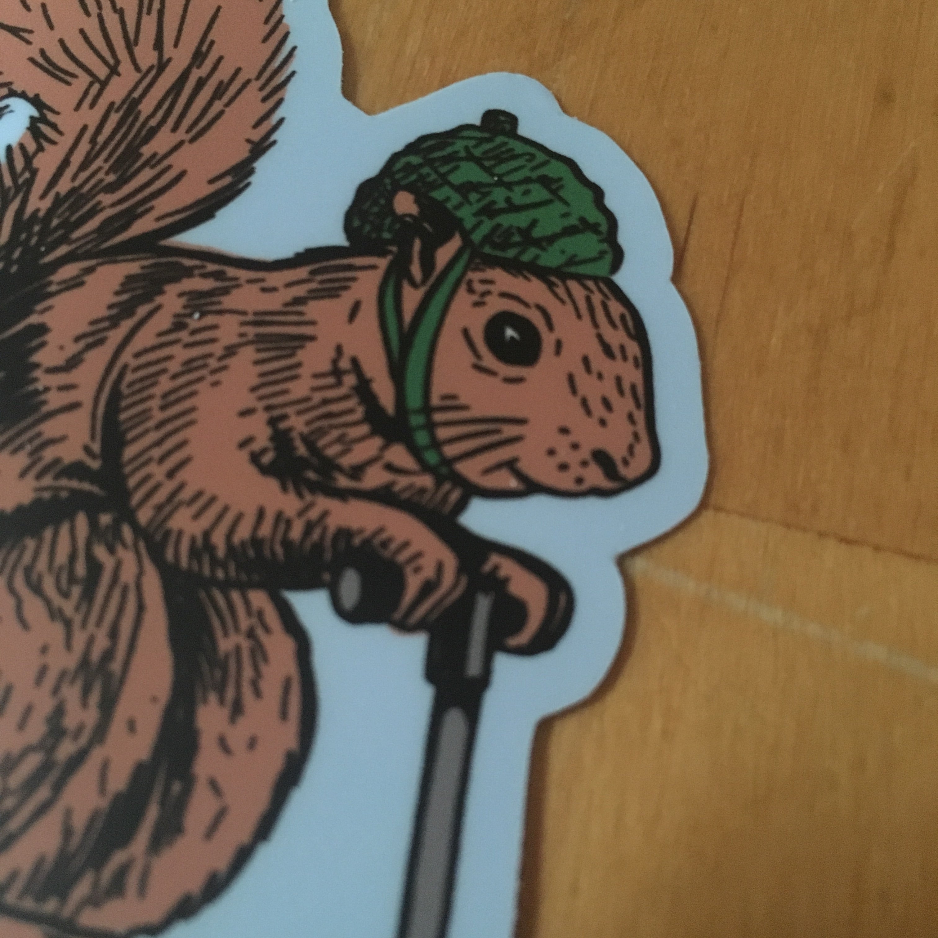 Squirrel on a Bird Sticker | badkneesTs