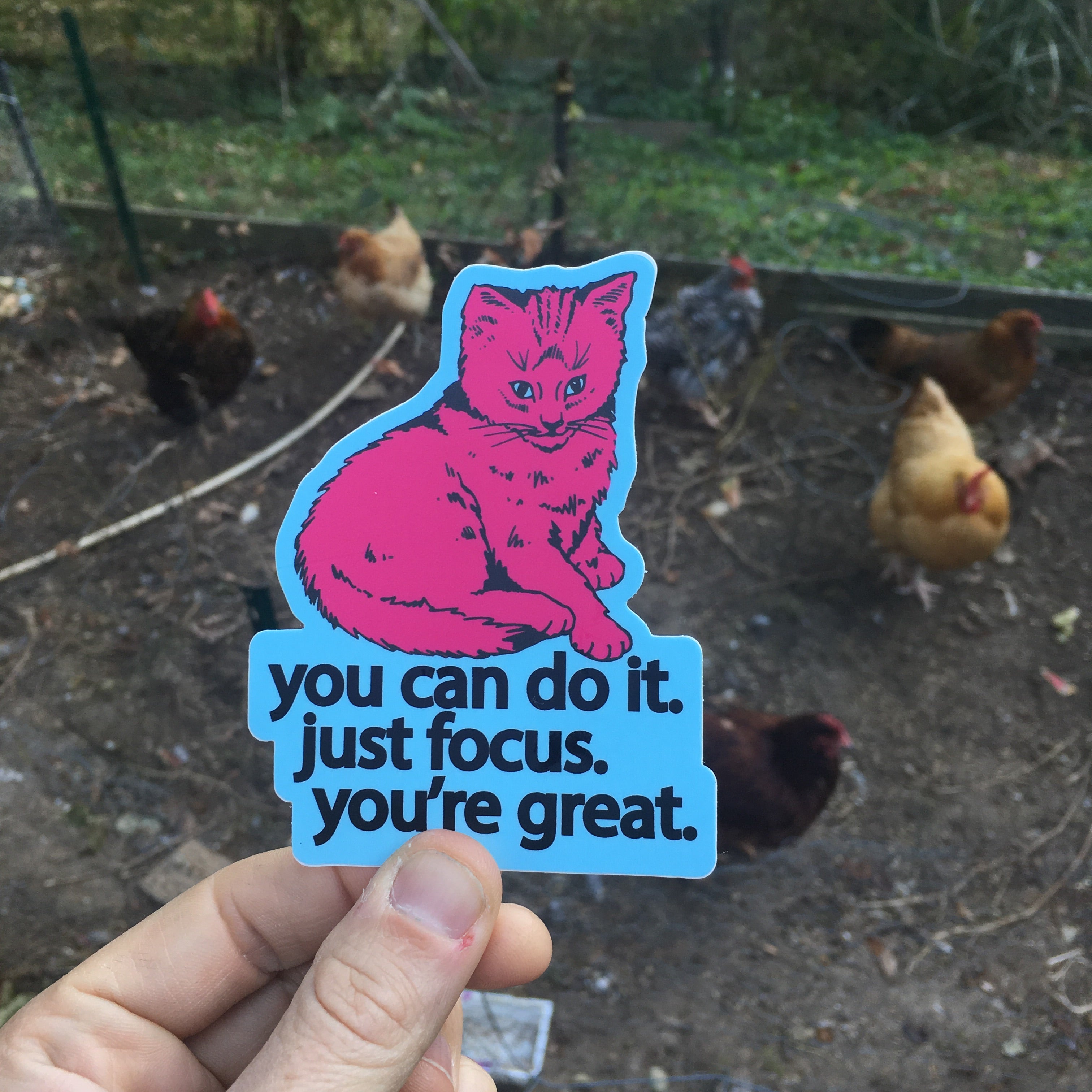 focus cat sticker - badkneesTs | badkneesTs