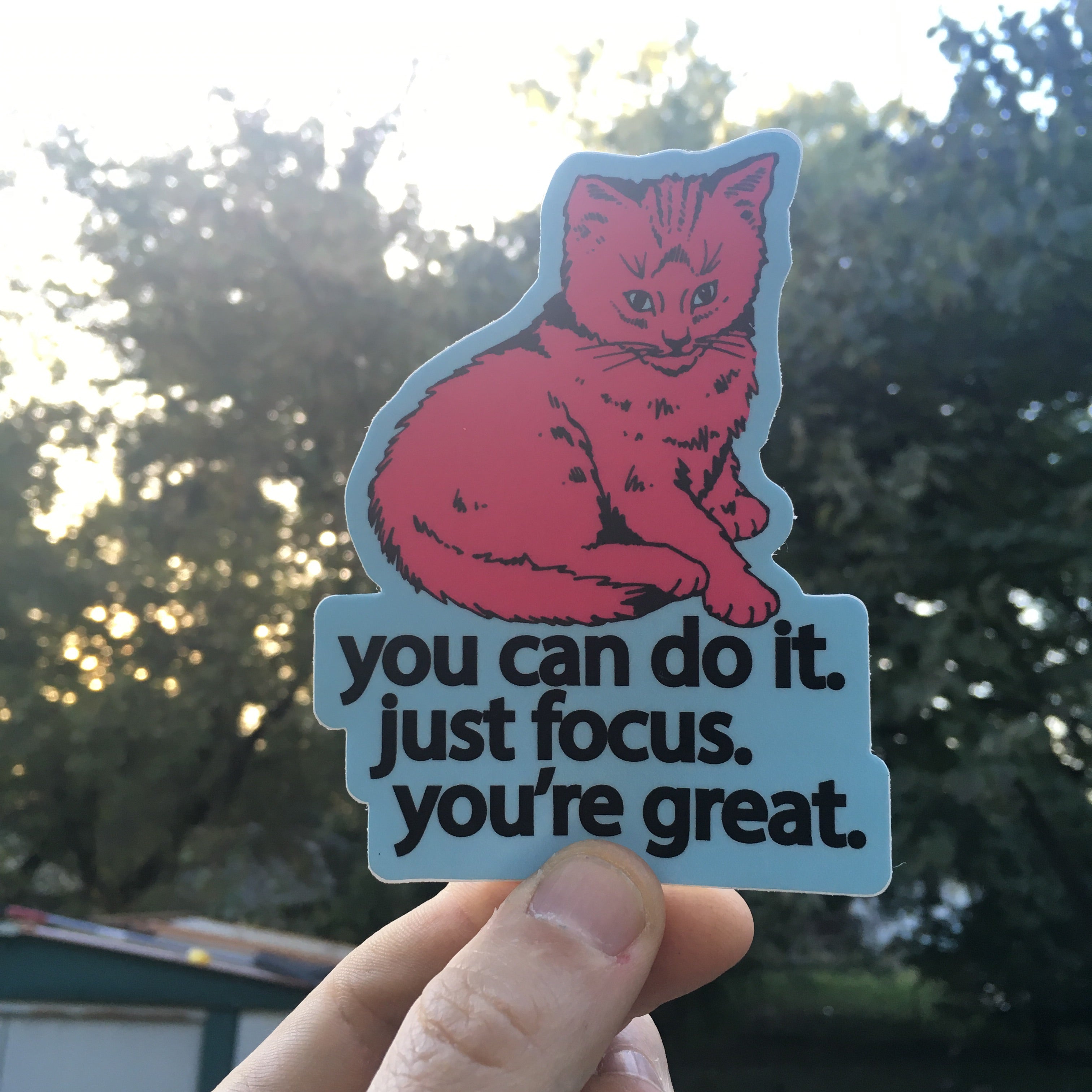 focus cat sticker - badkneesTs | badkneesTs