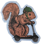 squirrel on a bird sticker