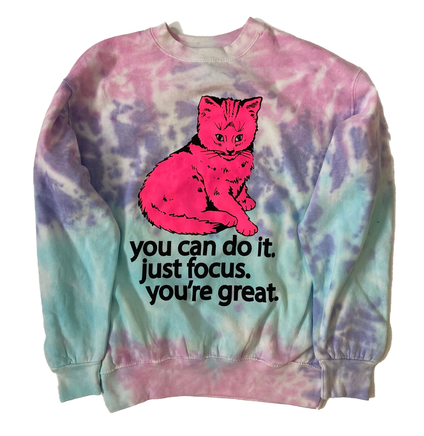 badknees cotton candy focus cat sweatshirt