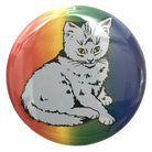 Rainbow Focus Cat