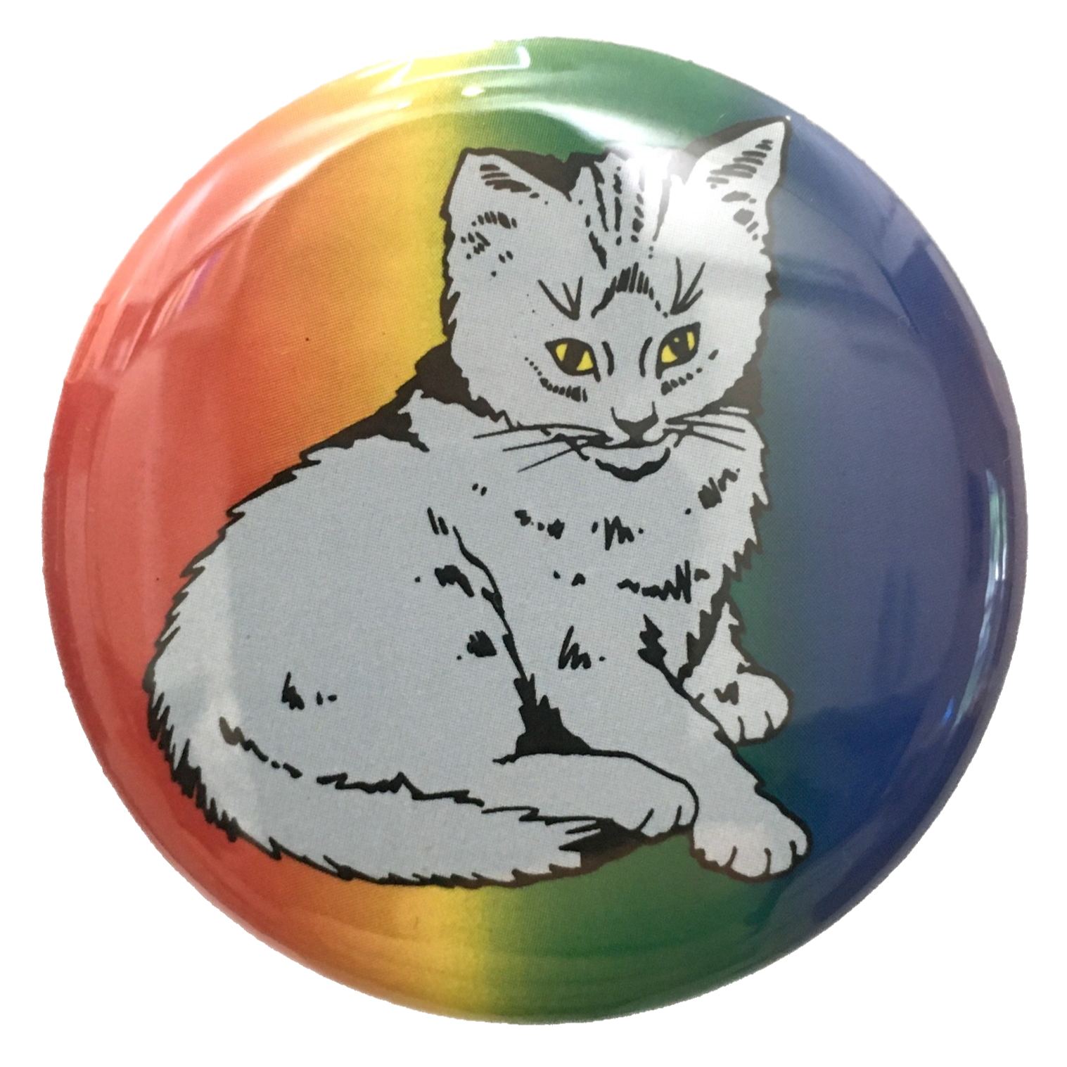 Rainbow Focus Cat