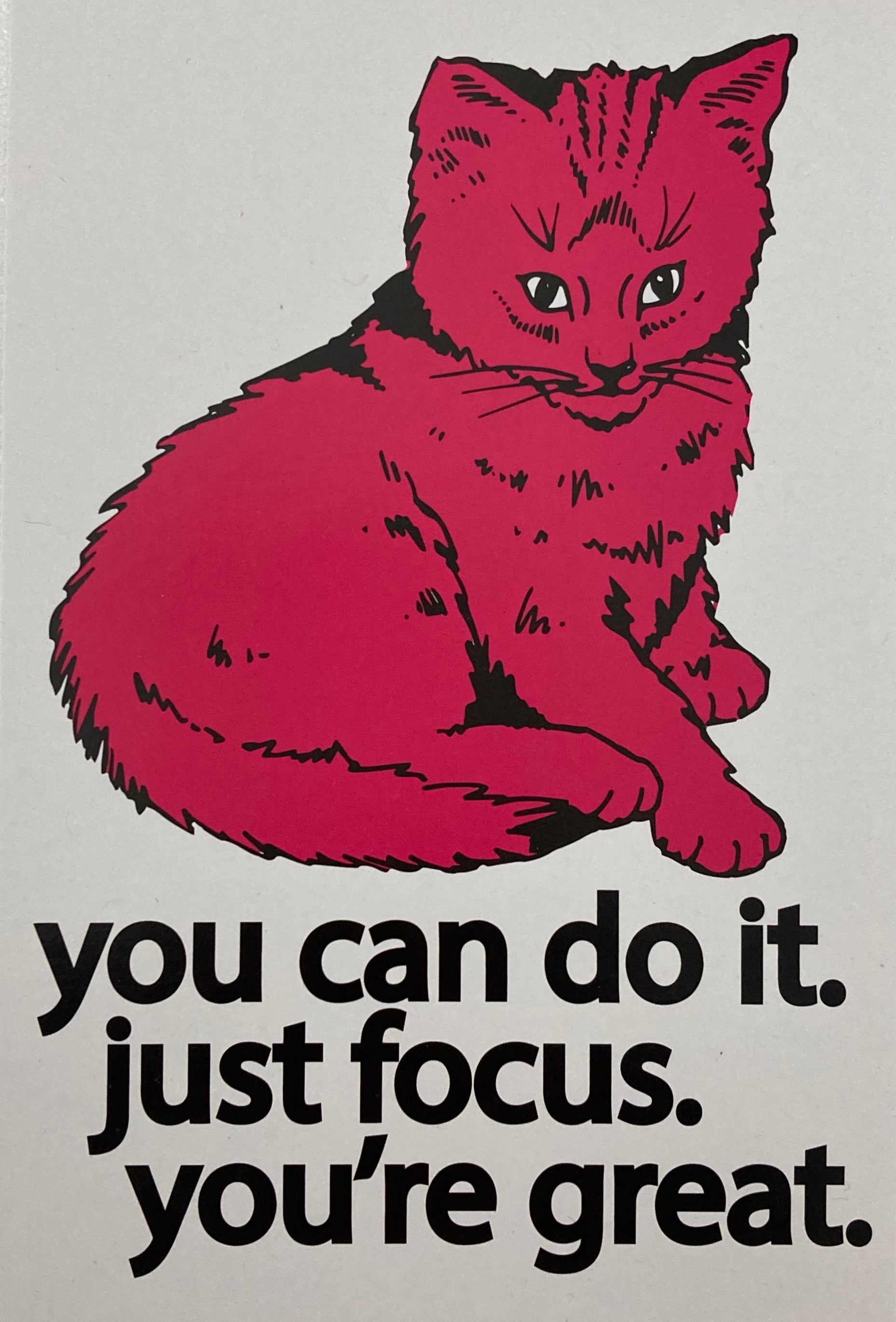 you can do it cat poster