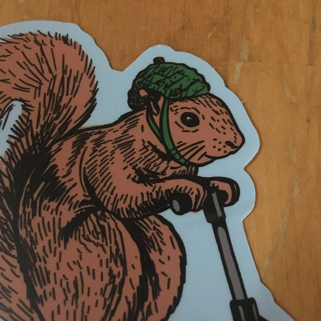 Bloomington squirrel on a bird sticker - badkneesTs | badkneesTs