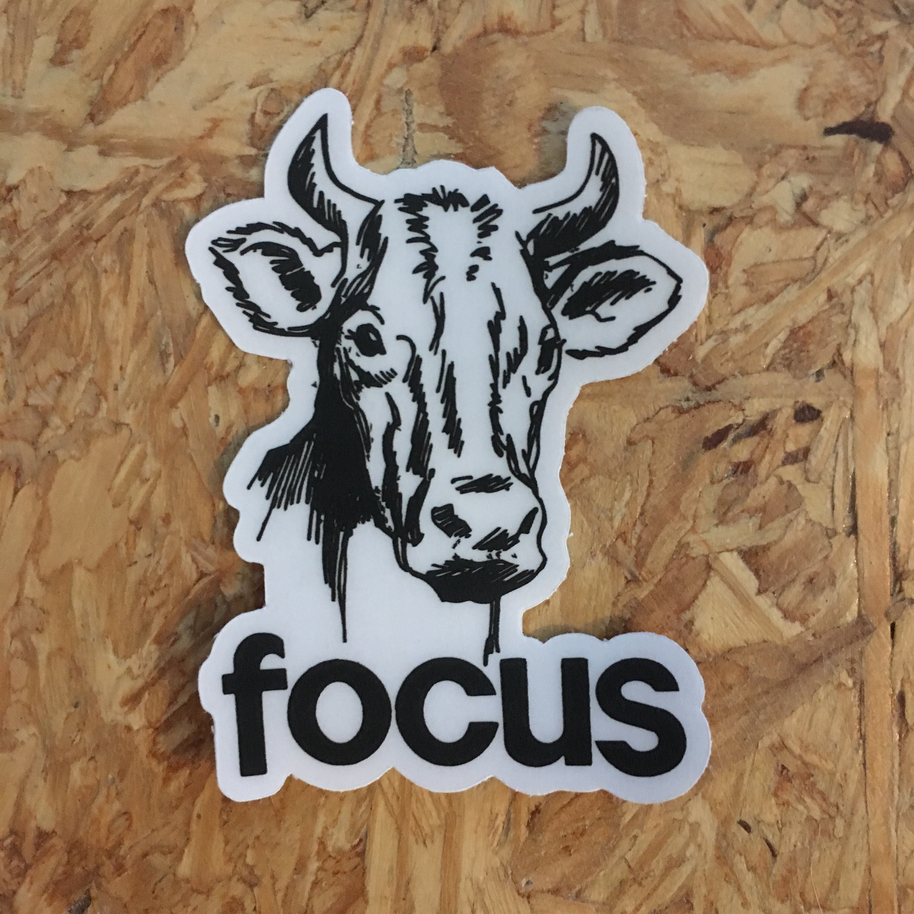Focus Cow sticker - badkneesTs | badkneesTs
