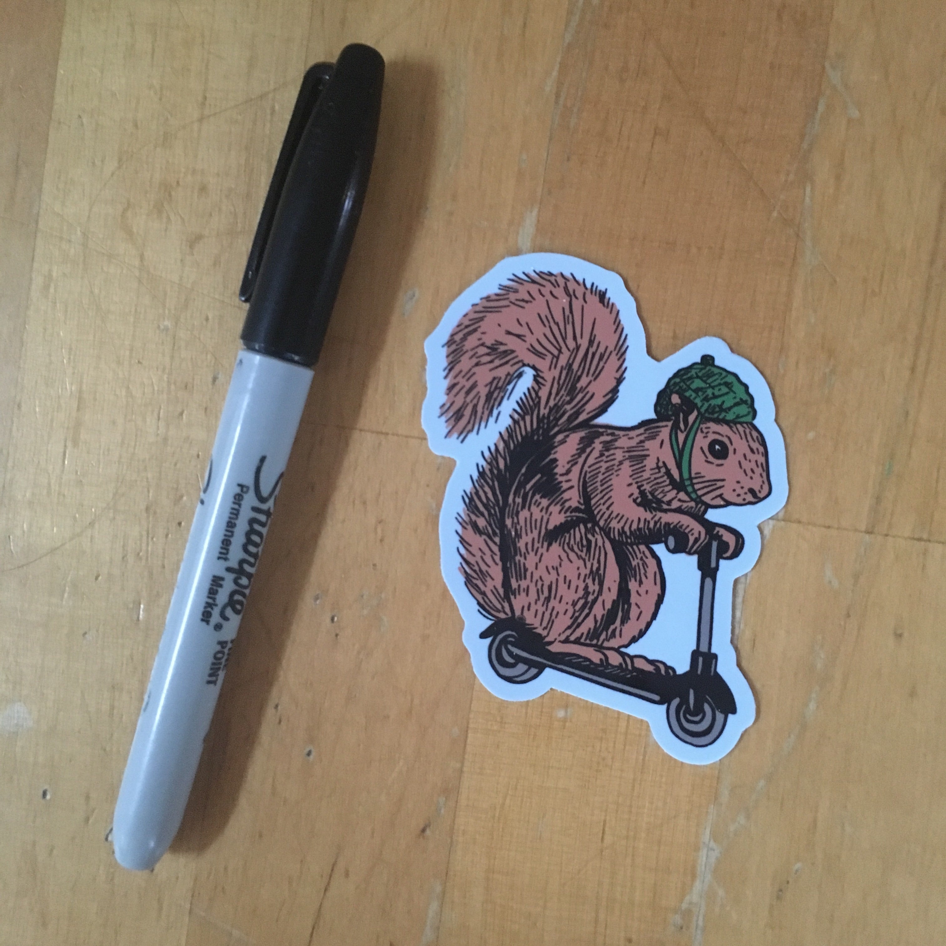 Squirrel on a Bird Sticker | badkneesTs