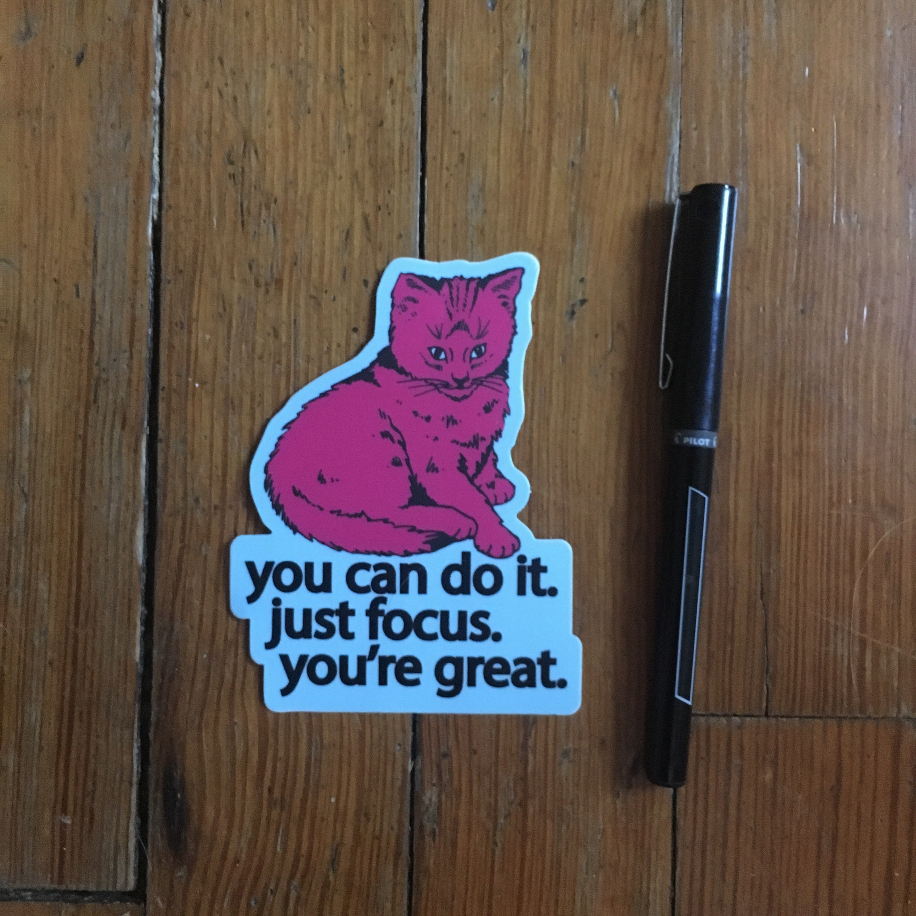 focus cat sticker - badkneesTs | badkneesTs