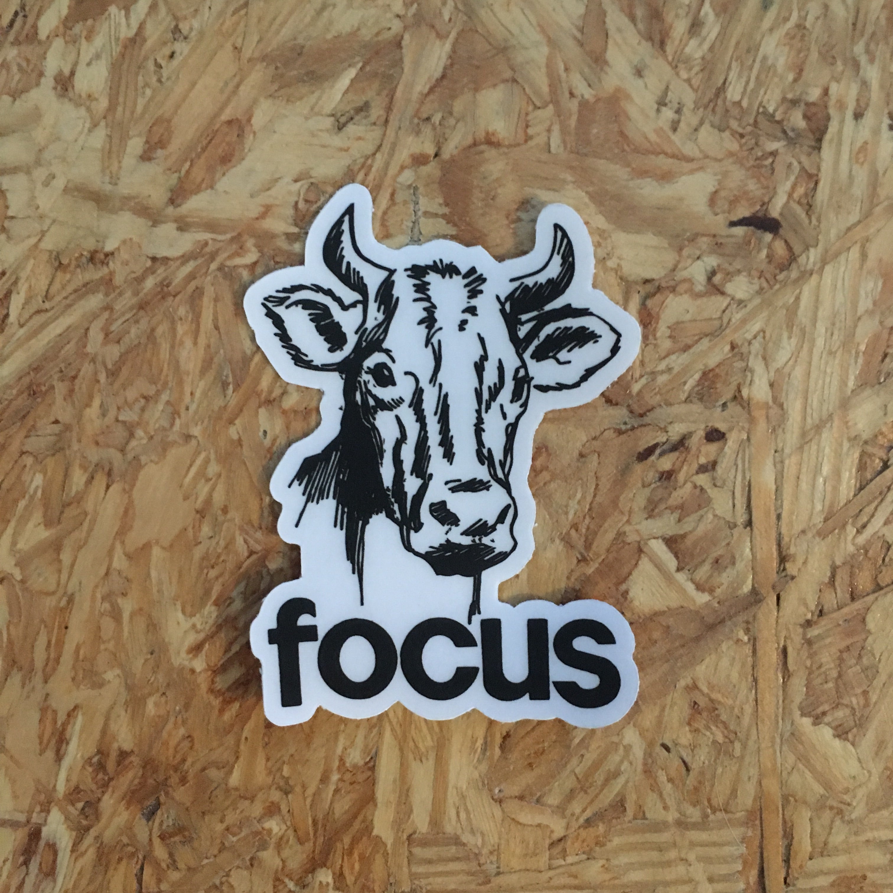 Focus Cow sticker - badkneesTs | badkneesTs