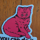 focus cat sticker - badkneesTs | badkneesTs