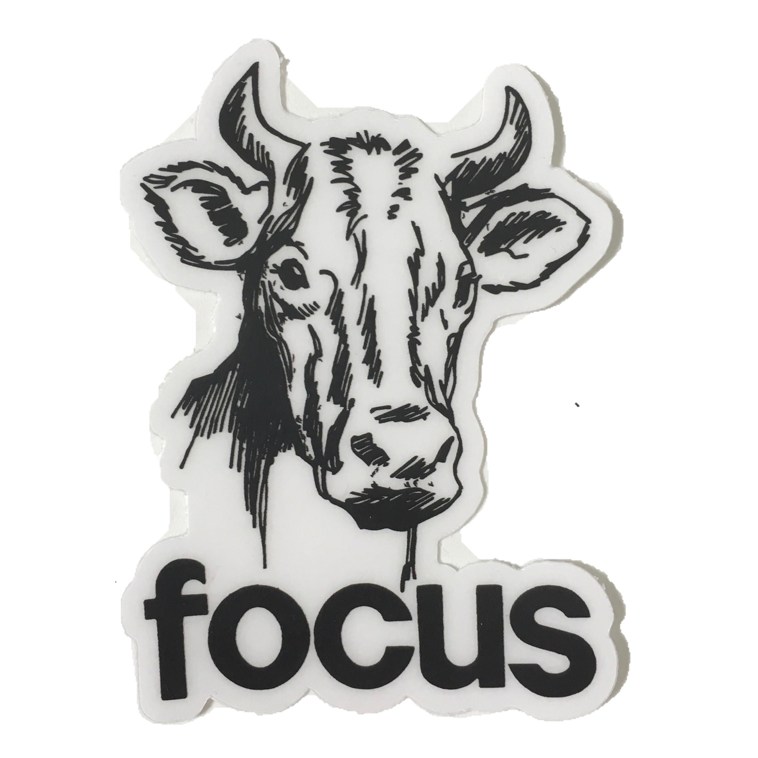 focus cow sticker