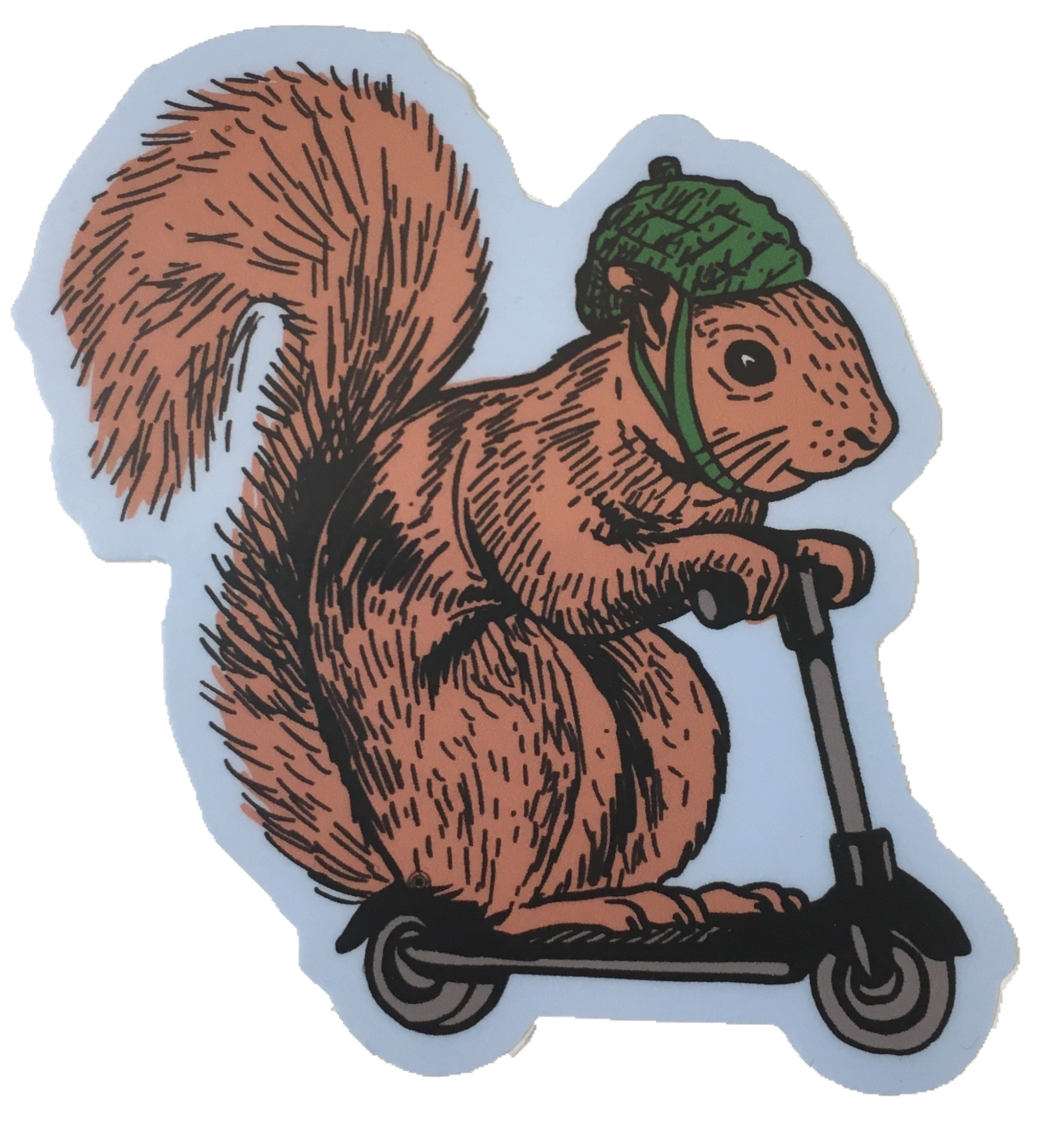 squirrel on a bird sticker